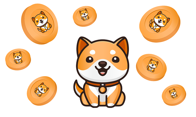 Shiba Inu Coin