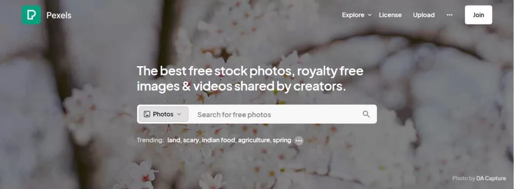 Pexels
Website where we can download copyright-free images and videos